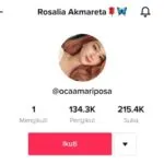 Video Joget Tiktok Karyawan Bank Sultra Viral, Polisi Sebut Tidak Ada Unsur Pornografi Video Joget Tiktok Karyawan Bank Sultra Viral, Polisi Sebut Tidak Ada Unsur Pornografi