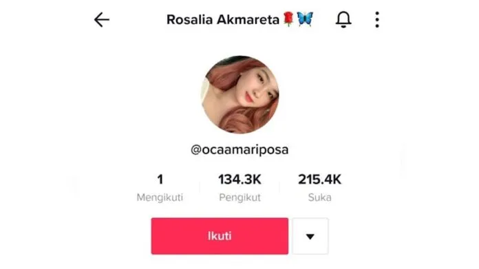 Video Joget Tiktok Karyawan Bank Sultra Viral, Polisi Sebut Tidak Ada Unsur Pornografi