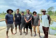 Cerita Kades Margacinta Konsel, Ingin Sulap Desanya Jadi Pusat Lelang Ikan Koi Cerita Kades Margacinta Konsel, Ingin Sulap Desanya Jadi Pusat Lelang Ikan Koi