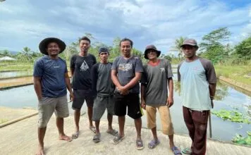Cerita Kades Margacinta Konsel, Ingin Sulap Desanya Jadi Pusat Lelang Ikan Koi Cerita Kades Margacinta Konsel, Ingin Sulap Desanya Jadi Pusat Lelang Ikan Koi