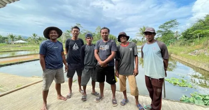 Cerita Kades Margacinta Konsel, Ingin Sulap Desanya Jadi Pusat Lelang Ikan Koi