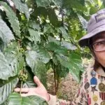 Kisah di Balik Produk Kopi Lokal Muna “Kahawa Wuna” Kisah di Balik Produk Kopi Lokal Muna “Kahawa Wuna”