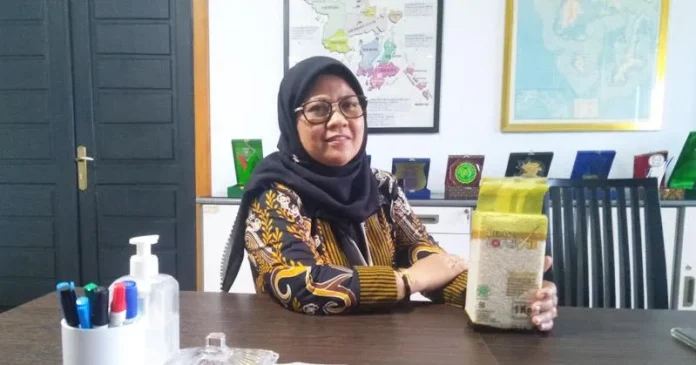 PSX_963 Perum Bulog Jamin Stok Pangan di Sultra Aman hingga 8 Bulan ke Depan