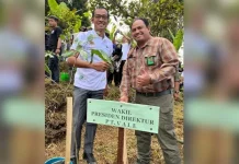 Peduli Kelestarian Lingkungan, PT Vale Ikut Andil Rehabilitasi DAS di Jawa Barat Peduli Kelestarian Lingkungan, PT Vale Ikut Andil Rehabilitasi DAS di Jawa Barat