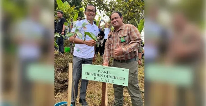 wakilvale Peduli Kelestarian Lingkungan, PT Vale Ikut Andil Rehabilitasi DAS di Jawa Barat