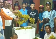 Nelayan Rumput Laut di Wakatobi Kebagian Bantuan 1,6 Ton Bibit Nelayan Rumput Laut di Wakatobi Kebagian Batuan 1,6 Ton Bibit