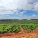 PT Vale Konsisten Terapkan Good Mining Practice PT Vale Konsisten Terapkan Good Mining Practice