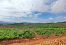 PT Vale Konsisten Terapkan Good Mining Practice PT Vale Konsisten Terapkan Good Mining Practice