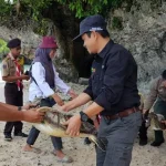 BKSDA Sultra Lepasliarkan Penyu di Pantai Nirwana Baubau BKSDA Sultra Lepasliarkan Penyu di Pantai Nirwana Baubau