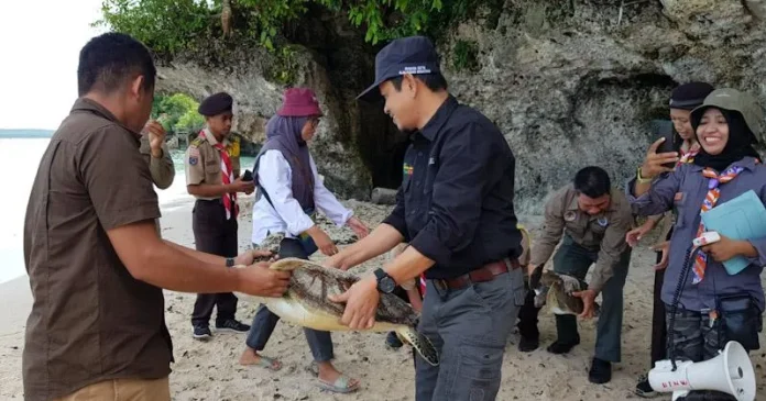 BKSDA Sultra Lepasliarkan Penyu di Pantai Nirwana Baubau