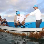 Petani di Desa Liya Sukses Budi Daya Rumput Laut Jenis Eucheuma cottonii Petani di Desa Liya Sukses Budi Daya Rumput Laut Jenis Eucheuma cottonii