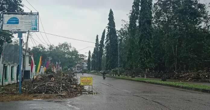 DLH Konawe Lakukan Peremajaan Pohon Pelindung di Jalan Poros Kota Unaaha