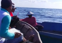 Upaya Nelayan Konkep Mengelola Perikanan, Memperkuat Ketahanan Pangan Melalui Program PAAP Upaya Nelayan Konkep Mengelola Perikanan, Memperkuat Ketahanan Pangan Melalui Program PAAP