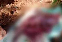 Warga Puuwatu Temukan Bayi Perempuan Terkubur di Sekitar Rumahnya Warga Puuwatu Temukan Bayi Perempuan Terkubur di Sekitar Rumahnya