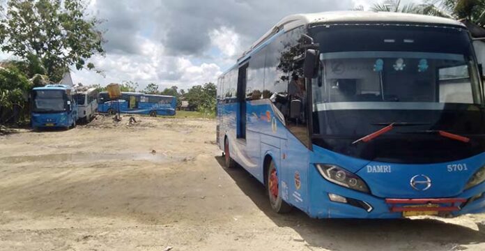 Tarif Bus DAMRI Kendari - Mawasangka Naik, 9 Rute Lain Masih Harga Lama