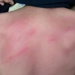 Oknum Guru yang Aniaya Siswa di Baubau Seorang Wakil Kepala Sekolah Pukul Siswanya Pakai Rotan, Oknum Guru di Baubau Diamankan Polisi