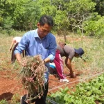 Kelompok Tani di Wakatobi Sukses Panen 1,7 Ton Bawang Merah Kelompok Tani di Wakatobi Sukses Panen 1,7 Ton Bawang Merah