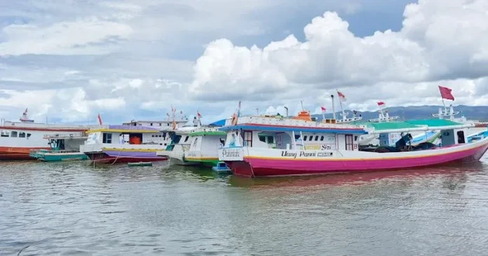 Penghasilan Nelayan di Kendari Menurun Imbas Kenaikan Harga BBM