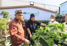 “BRI Menanam” Targetkan Tanam 1,75 Juta Bibit Pohon Produktif hingga 2023 untuk Pengurangan Emisi Karbon “BRI Menanam” Targetkan Tanam 1,75 Juta Bibit Pohon Produktif hingga 2023 untuk Pengurangan Emisi Karbon