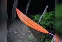 Mahasiswa STMIK Catur Sakti Kendari Dilaporkan Hilang di Puncak Popalia Mahasiswa STMIK Catur Sakti Kendari Dilaporkan Hilang di Puncak Popalia