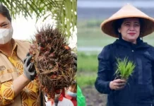 Airlangga-Puan Direncanakan Bertemu Pekan Depan, Salah Satu yang akan Dibahas Pemilu 2024 Airlangga-Puan Direncanakan Bertemu Pekan Depan, Salah Satu yang akan Dibahas Pemilu 2024