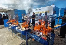 Bea Cukai Kendari Musnahkan Barang Hasil Penindakan 2021-2022 Senilai Rp1,8 Miliar Bea Cukai Kendari Musnahkan Barang Hasil Penindakan 2021-2022 Senilai Rp1,8 Miliar