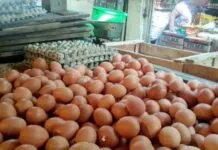 Harga Telur di Pasar Kota Kendari Tembus Rp70 Ribu per Rak Harga Telur di Pasar Kota Kendari Tembus Rp70 Ribu per Rak