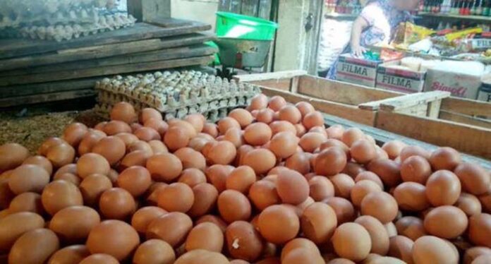 Harga Telur di Pasar Kota Kendari Tembus Rp70 Ribu per Rak