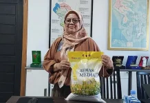 Komoditas Beras Dipastikan Aman, Bulog Sultra Target Serap 30 Ribu Ton Kepala Kantor Wilayah (Kakanwil) Bulog Sultra, Siti Mardati Saing