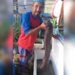 Masa Depan Perairan Wawonii: Berharap Ikan Berlimpah dari Pengelolaan Akses Area Perikanan