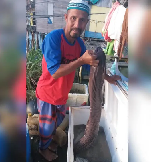 Masa Depan Perairan Wawonii: Berharap Ikan Berlimpah dari Pengelolaan Akses Area Perikanan