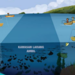 Masa Depan Perairan Wawonii: Berharap Ikan Berlimpah dari Pengelolaan Akses Area Perikanan