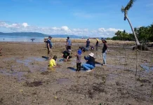Peduli Lingkungan, Zenith SCA Kendari Tanam 1.000 Bibit Mangrove di Teluk Kolono Konsel Peduli Lingkungan, Zenith SCA Kendari Tanam 1.000 Bibit Mangrove di Teluk Kolono Konsel