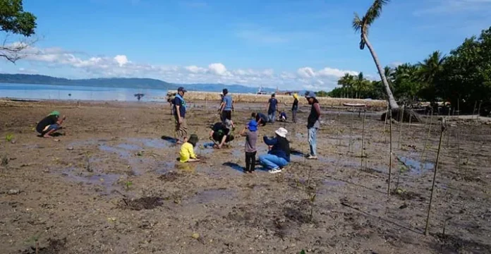 IMG-20221003-WA0047 Peduli Lingkungan, Zenith SCA Kendari Tanam 1.000 Bibit Mangrove di Teluk Kolono Konsel