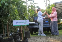 Dukung Net Zero Emission, BRI Menanam Proyeksikan Kontribusi Penurunan Emisi Karbon hingga 23% di 2025 Dukung Net Zero Emission, BRI Menanam Proyeksikan Kontribusi Penurunan Emisi Karbon hingga 23% di 2025