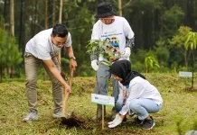 Lingkungan Lebih Hijau & Malah Jadi Cuan, Nasabah Ungkap Manfaat “BRI Menanam” Lingkungan Lebih Hijau & Malah Jadi Cuan, Nasabah Ungkap Manfaat "BRI Menanam"