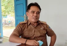 Maksimalkan Lahan Tidur, Distan Mubar Beri Bantuan Benih Jagung dan Kedelai ke Petani Kepala Dinas Pertanian (Distan) Mubar Nestor Jono