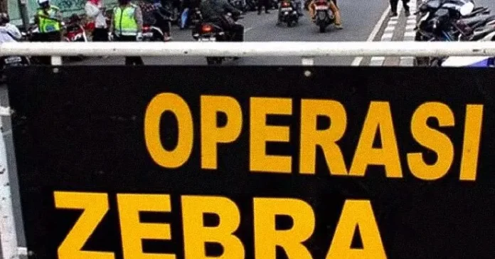 Ilustrasi operasi zebra etle Polda Gelar Operasi Zebra Anoa 3 hingga 16 Oktober 2022, Sasar 7 Pelanggaran Lalu Lintas