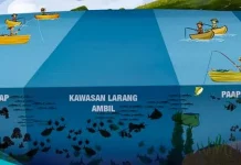 Masa Depan Perairan Wawonii: Bagaimana Dukungan Pemerintah? Masa Depan Perairan Wawonii: Bagaimana Dukungan Pemerintah?