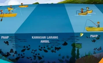 Masa Depan Perairan Wawonii: Bagaimana Dukungan Pemerintah? Masa Depan Perairan Wawonii: Bagaimana Dukungan Pemerintah?