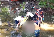 Ini Penyebab Kematian Guru yang Ditemukan Mengapung di Teluk Kendari Seorang Guru SMAN 9 Kendari Ditemukan Meninggal Dunia di Teluk Kendari Usai Dilaporkan Hilang