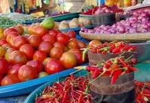 Harga Jeruk Nipis di Pasar Kendari Naik 100 Persen, Bawang Merah Naik Pekan Depan Harga Jeruk Nipis di Pasar Kendari Naik 100 Persen, Bawang Merah Naik Pekan Depan