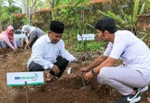 Dukung Pengurangan Emisi, BRI Menanam Proyeksikan Penyerapan Karbon hingga 108 Ribu Ton CO2 Dukung Pengurangan Emisi, BRI Menanam Proyeksikan Penyerapan Karbon hingga 108 Ribu Ton CO2