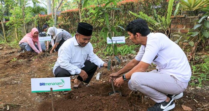 Dukung Pengurangan Emisi, BRI Menanam Proyeksikan Penyerapan Karbon hingga 108 Ribu Ton CO2