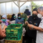 Menteri BUMN Apresiasi Kinerja Holding Ultra Mikro Dongkrak Inklusi Keuangan