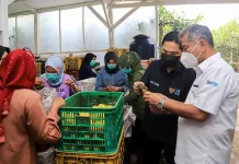 Menteri BUMN Apresiasi Kinerja Holding Ultra Mikro Dongkrak Inklusi Keuangan Menteri BUMN Apresiasi Kinerja Holding Ultra Mikro Dongkrak Inklusi Keuangan