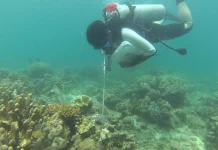Naturevolution Indonesia Basmi Bintang Laut Perusak Terumbu Karang di Tanjung Tiram Naturevolution Indonesia Basmi Bintang Laut Perusak Terumbu Karang di Tanjung Tiram