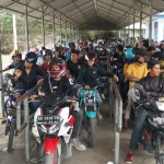 Dampak Pilkades di Muna, Pedagang di Pelabuhan Torobulu Untung Jutaan Rupiah Dampak Pilkades di Muna, Pedagang di Pelabuhan Torobulu Untung Jutaan Rupiah