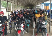 Dampak Pilkades di Muna, Pedagang di Pelabuhan Torobulu Untung Jutaan Rupiah Dampak Pilkades di Muna, Pedagang di Pelabuhan Torobulu Untung Jutaan Rupiah