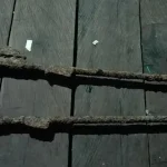 Warga Mubar Temukan Dua Pucuk Senjata yang Diduga Milik Penjajah Jepang Warga Mubar Temukan Dua Pucuk Senjata yang Diduga Milik Penjajah Jepang